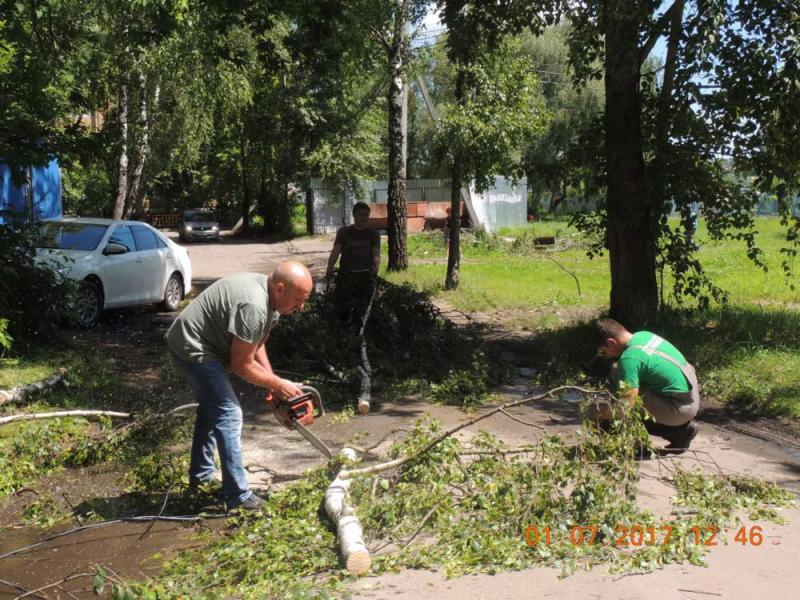 Производится опиловка и уборка деревьев после урагана прошедшего на территории п. Большевик.