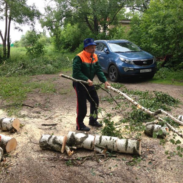 Уборка деревьев после урагана прошедшего на территории п. Большевик.