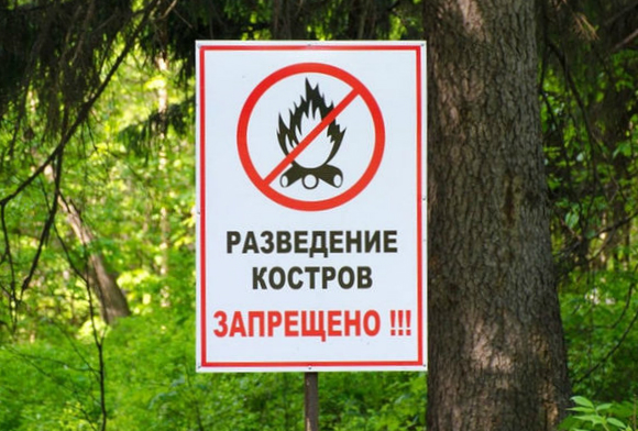 Русский лес филиал. Усиление мер противопожарной безопасности.