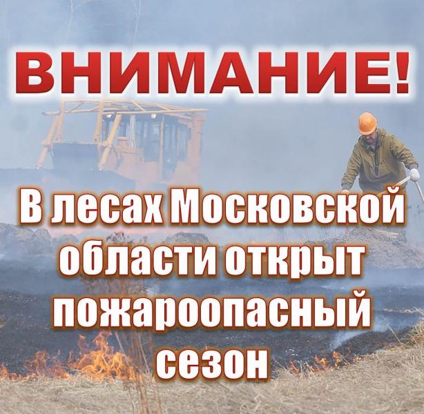 В лесах Московской области открыт пожароопасный сезон