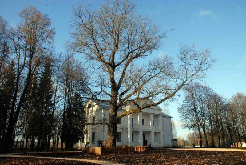 Конкурс «Абрамцевский дуб, вдохновитель художников и поэтов – Российское дерево года 2018»