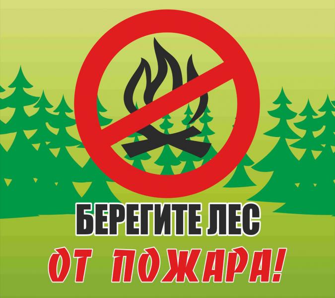Лесничество «Русский лес» напоминает о необходимости обязательного соблюдения правил пожарной безопасности в лесах.